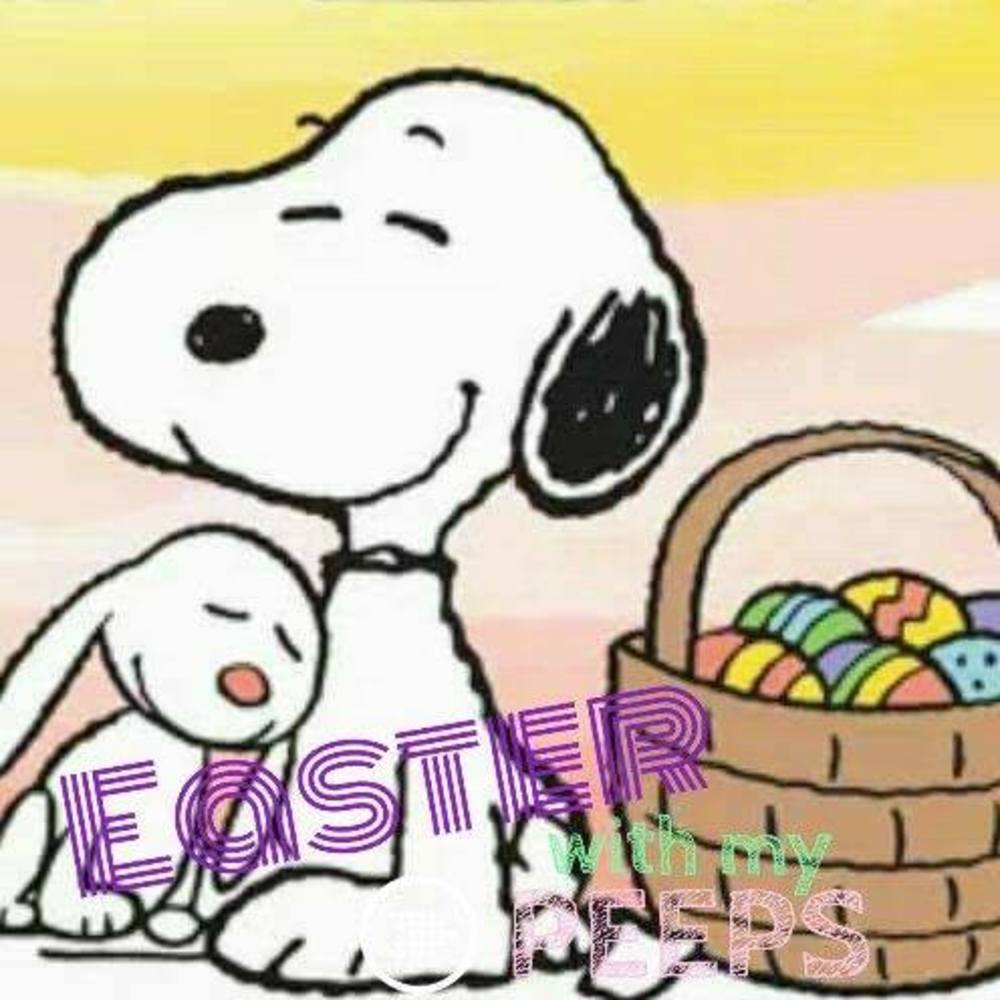 Meet your Posher, Shelly